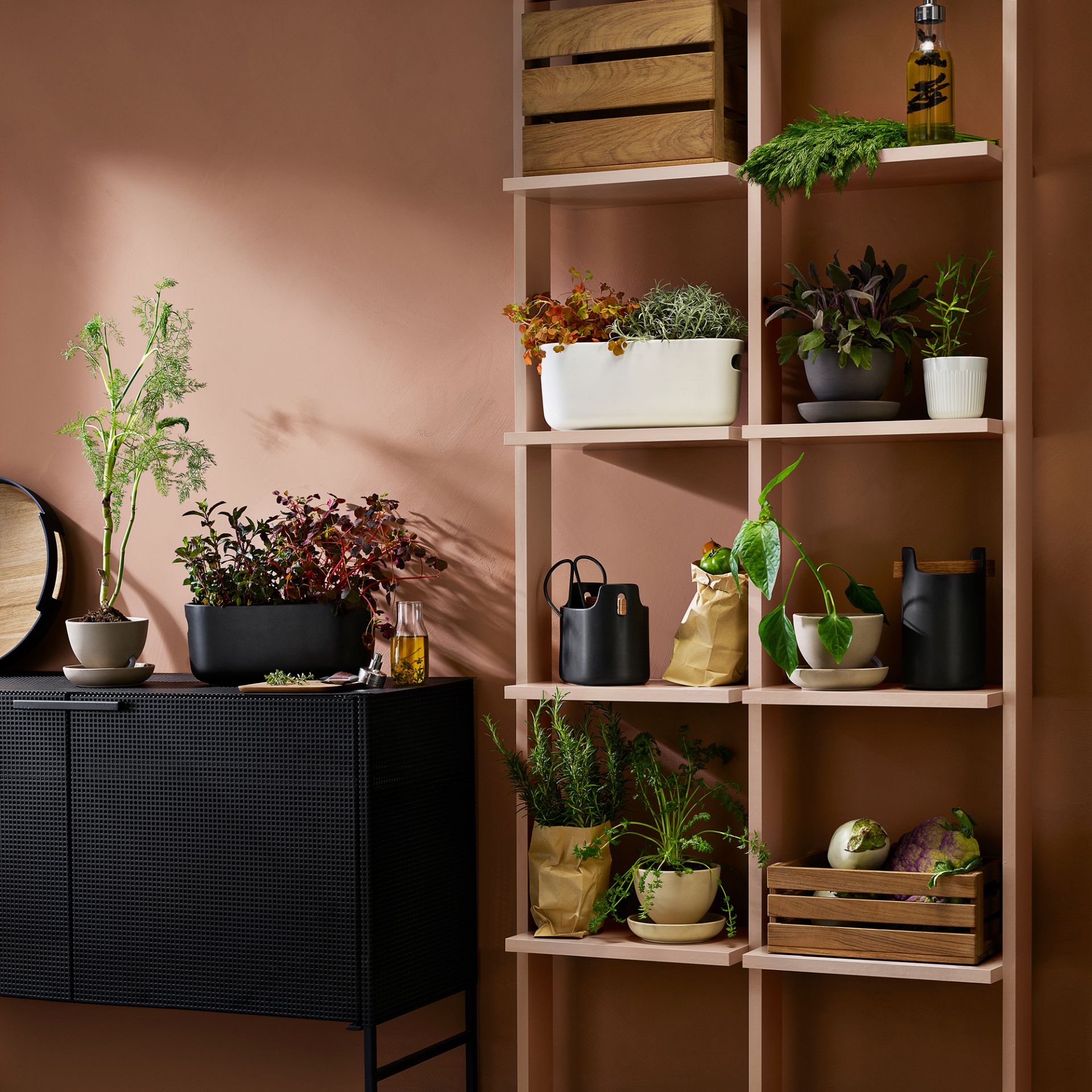 Herb-Organiser auto-arrosant Eva Solo OFFRE SPECIALE