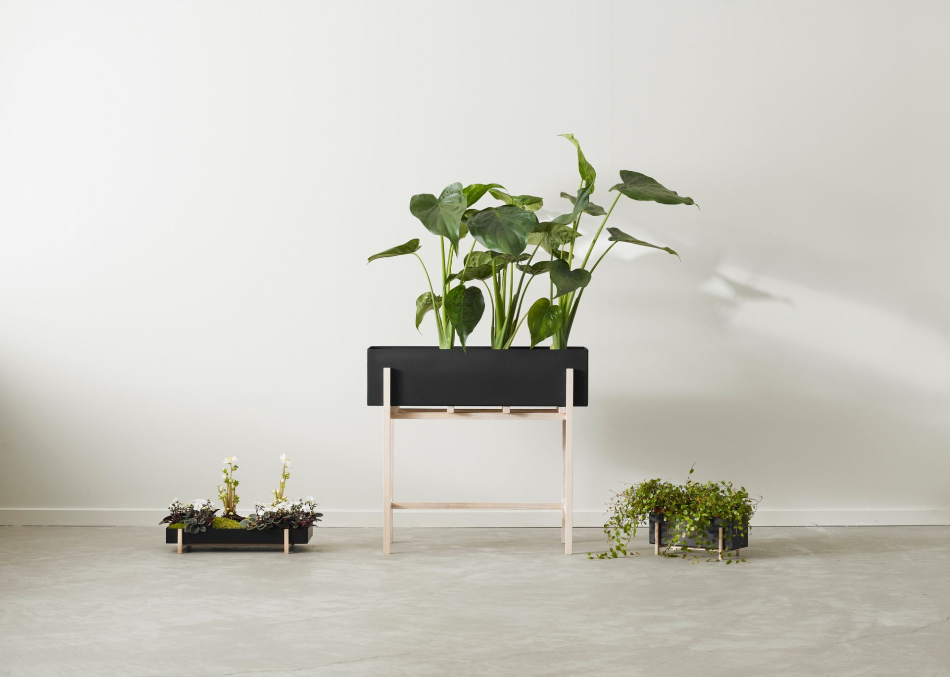 Botanic Flower Stand planteur Grand Design House Stockholm OFFRE SPECIALE