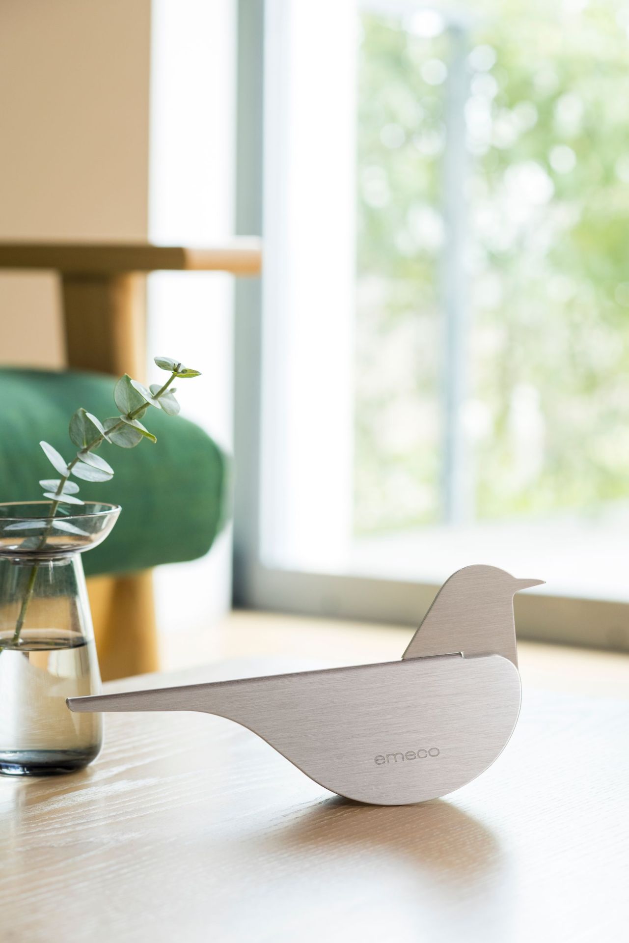 Birds Blackbird Merle Emeco