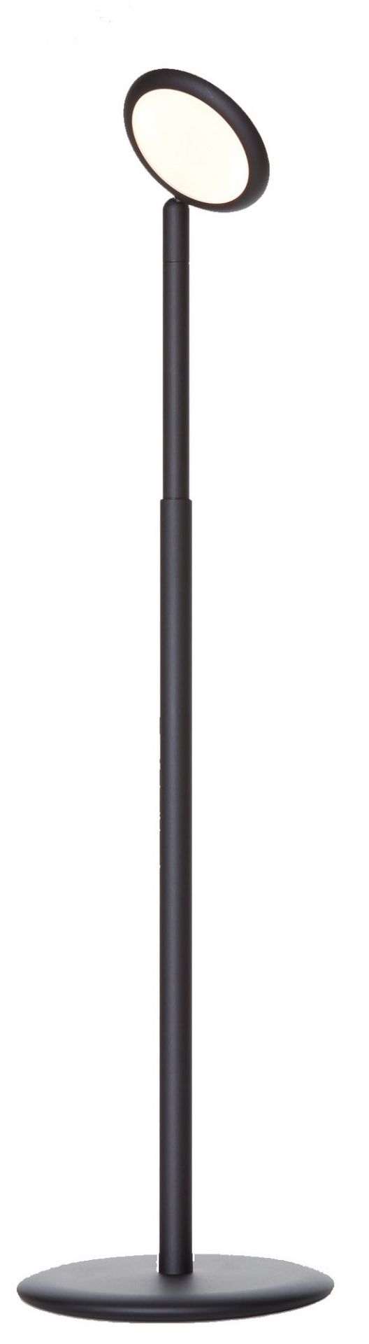 Parrot Lampadaire Grau