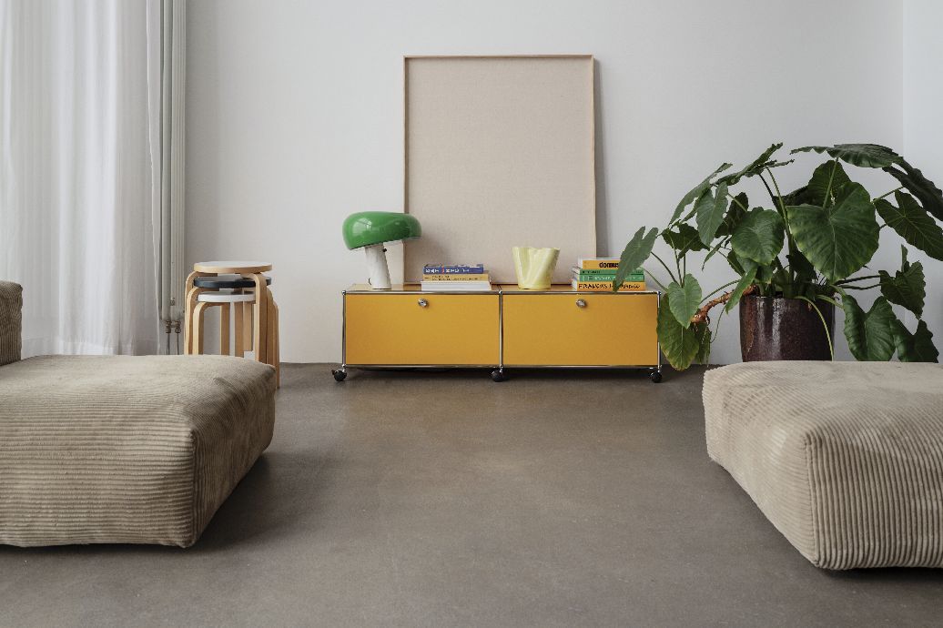 USM Haller Meuble TV/Hi-Fi bas M61 sur roulettes avec 2 portes à charnières LIVRAISON RAPIDE