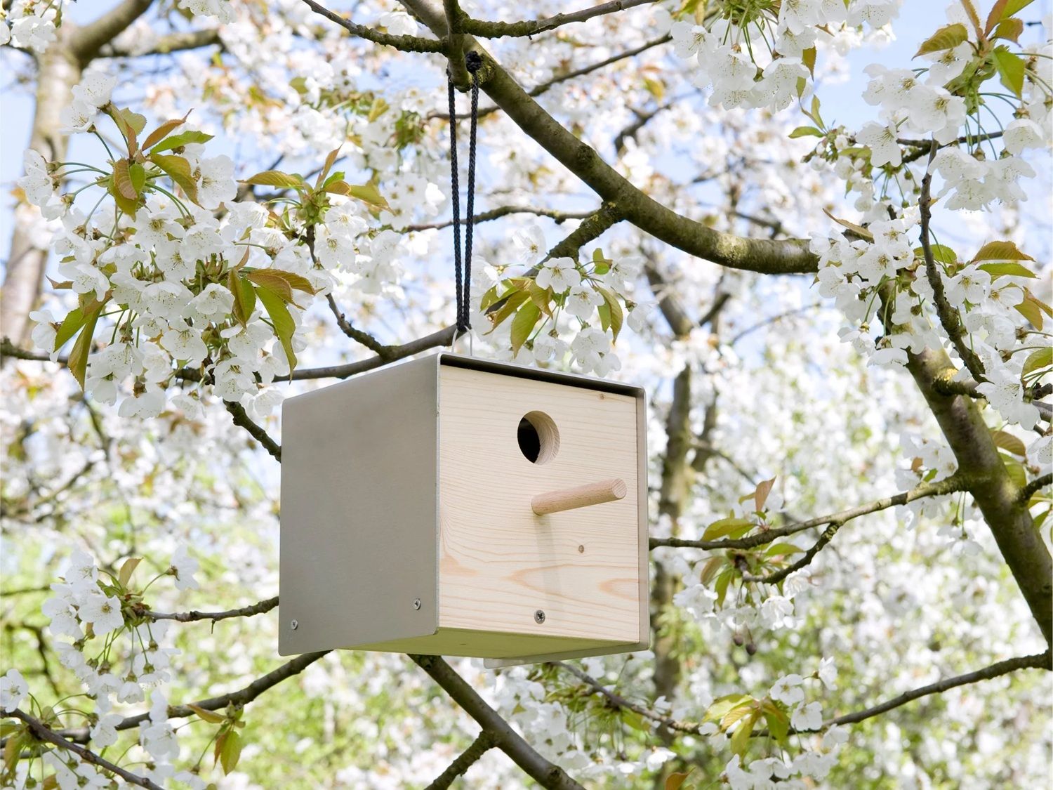 Twitter Nature Nichoir Keilbach