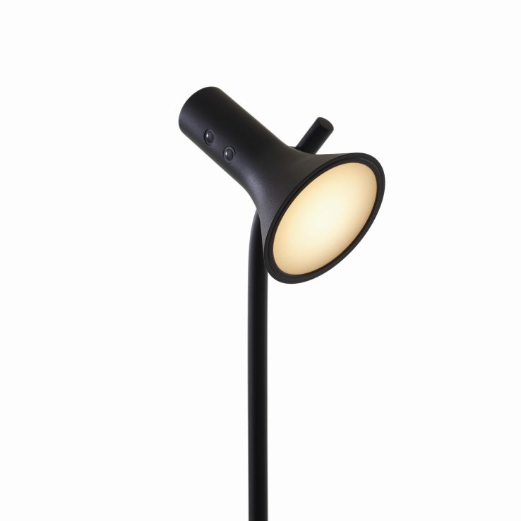 Asha Lampadaire ligne roset 