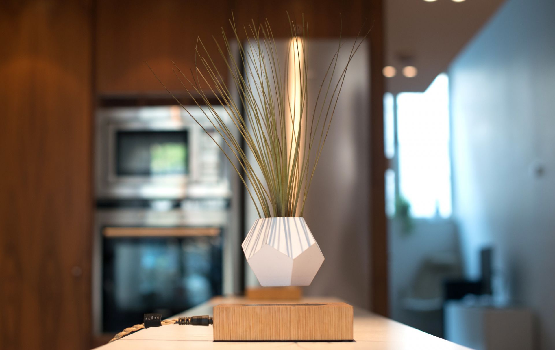 Lyfe vase flottant PIED AHRON NOIR / POT BLANC Klein & More PIÈCE UNIQUE