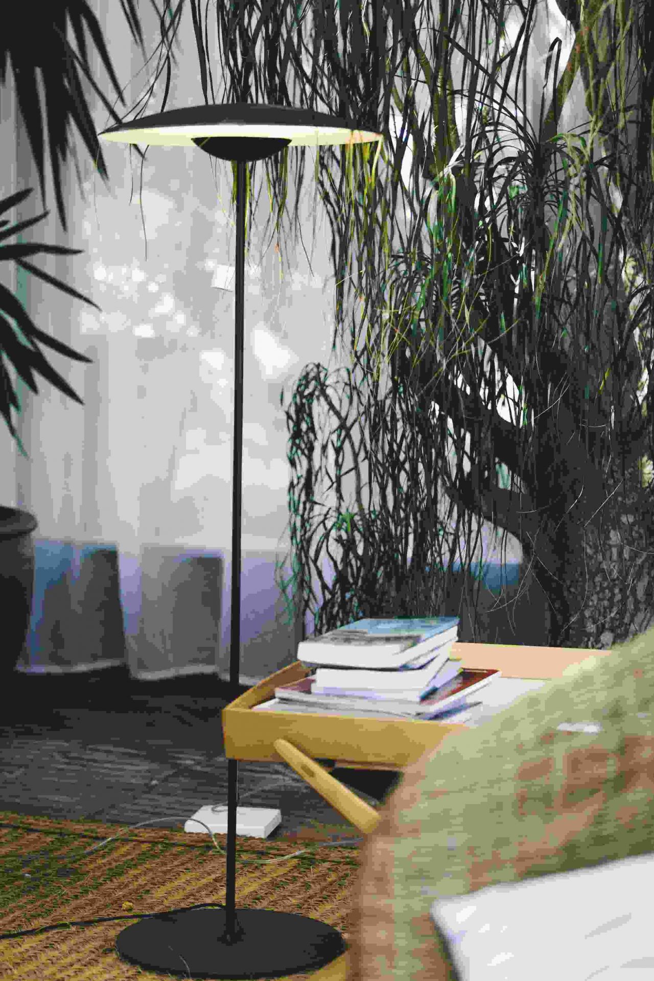 Ginger P LED Lampadaire marset chêne
