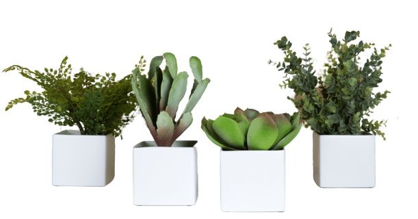 Phoenix Succulentes Square Pots 4-er set blanc (pots carrés) Plante artificielle Tanaman     