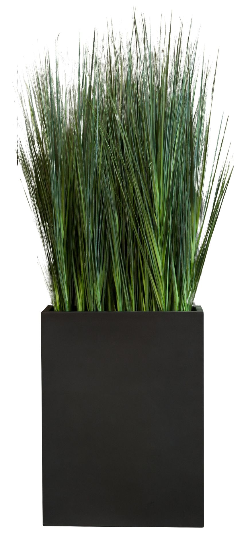 Kyoto Grass Seperator 200S plante artificielle Tanaman 