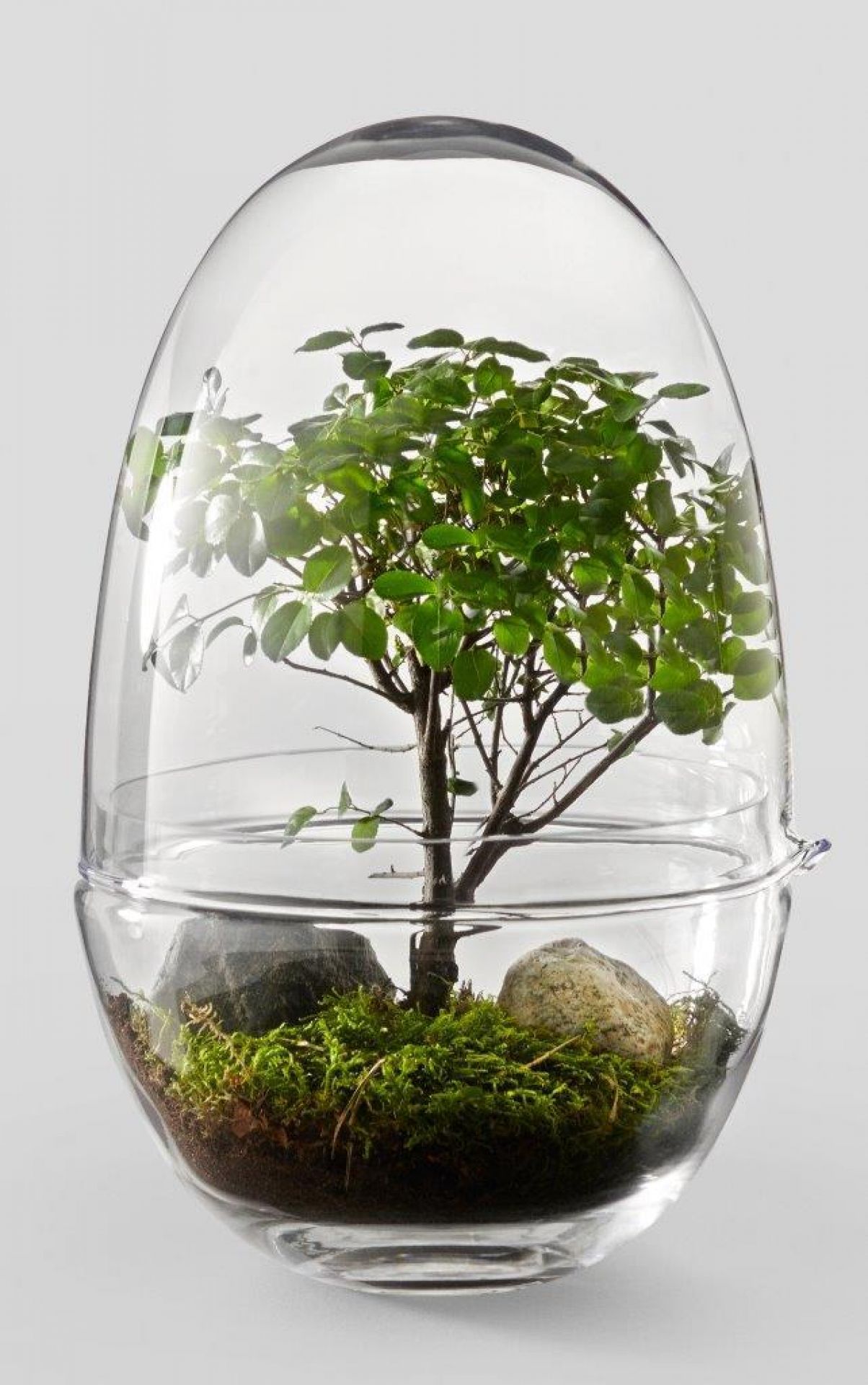 Grow XL serre Design House Stockholm