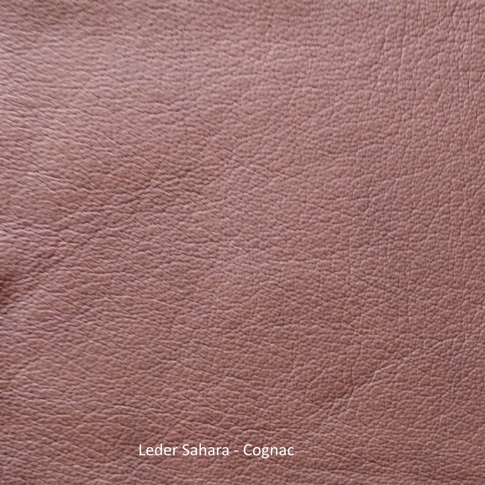 Modèle en cuir Sahara Freifrau Manufaktur