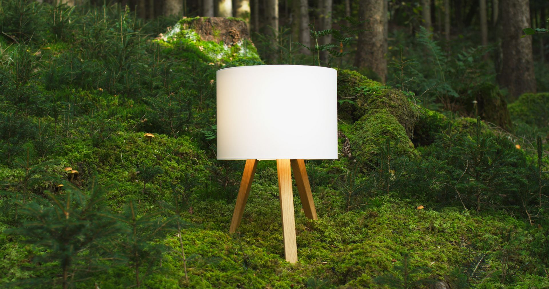Luca Stand little lampe de table chêne naturel / blanc Maigrau