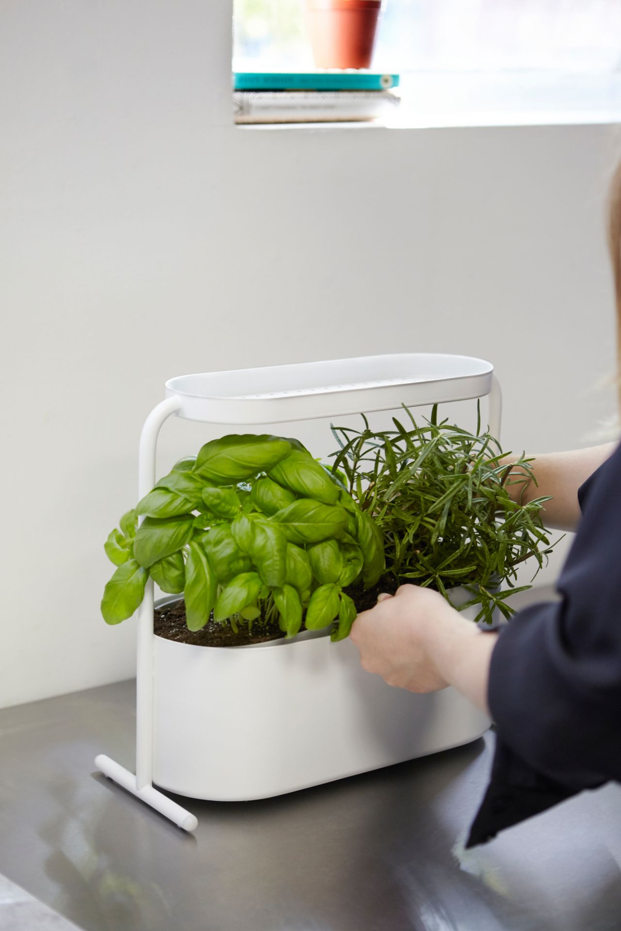 Giardino Pot à base de plantes Umbra OFFRE SPECIALE