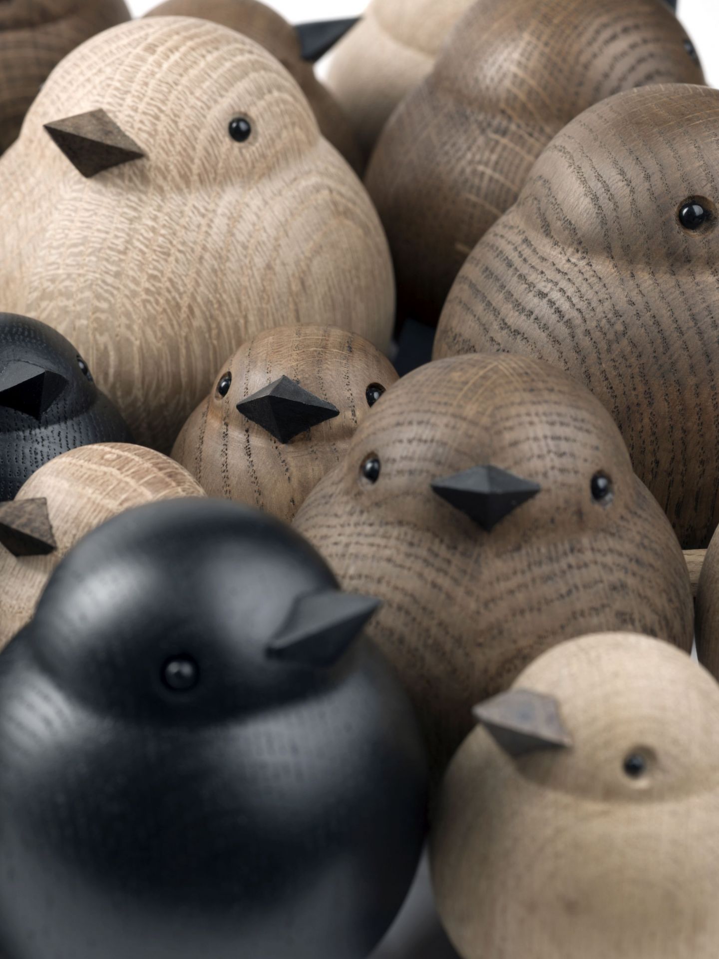 Sparrow chêne noir novoform OFFRE SPECIALE