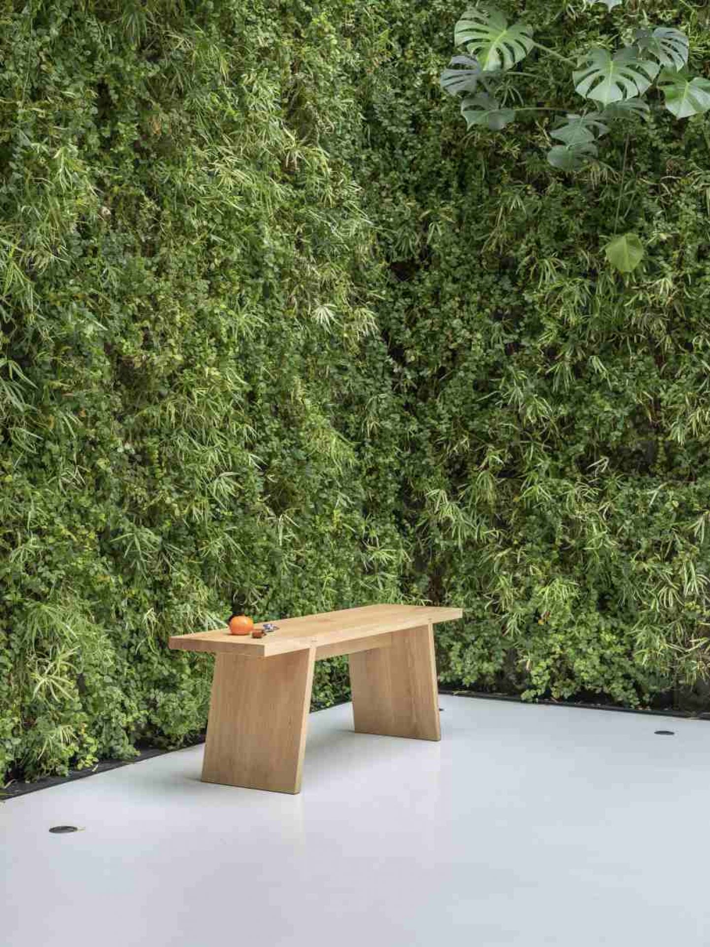 Dovetail Bench Banc Functionals