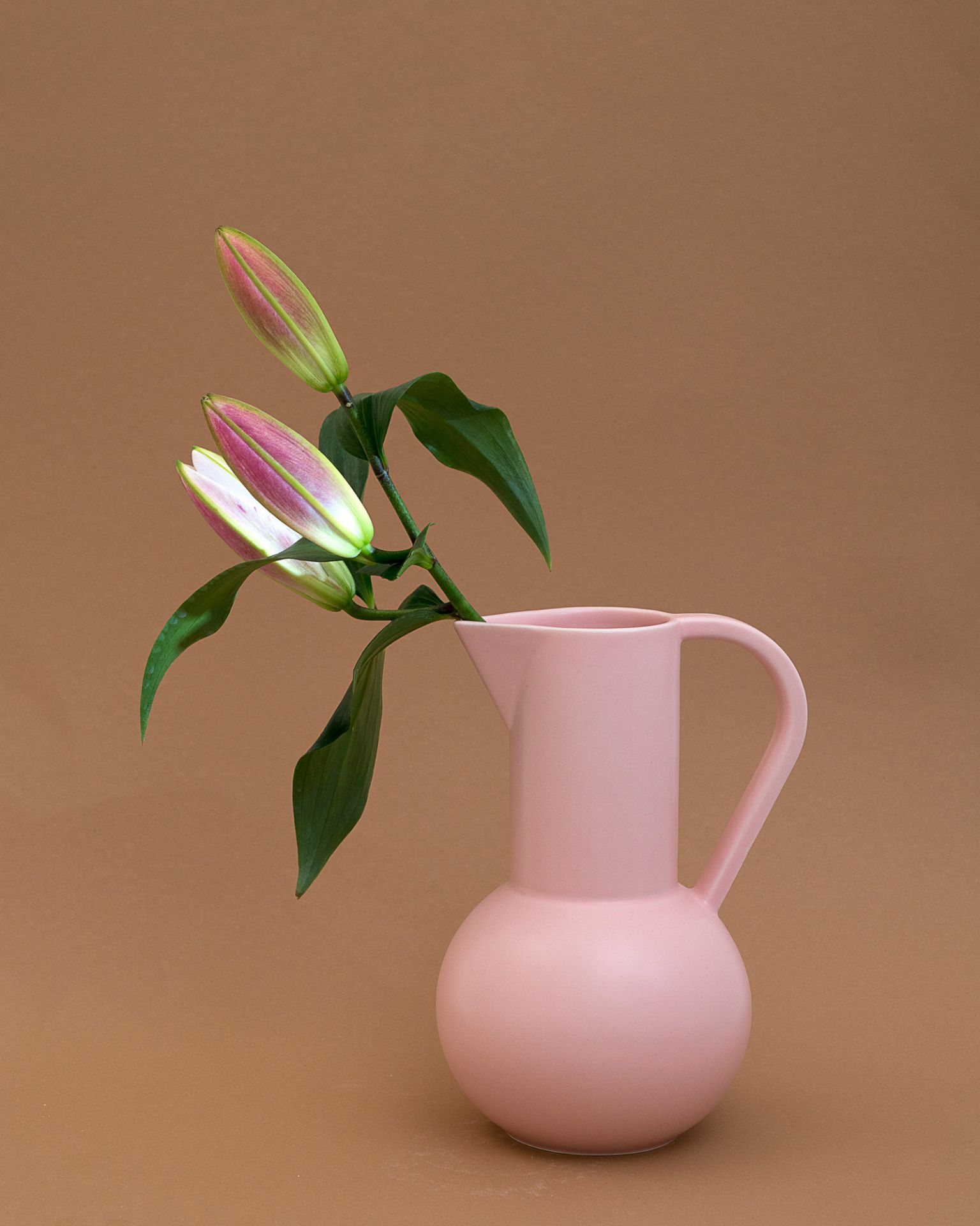 Medium Jug Cruche moyen raawii vert gables OFFRE SPECIALE