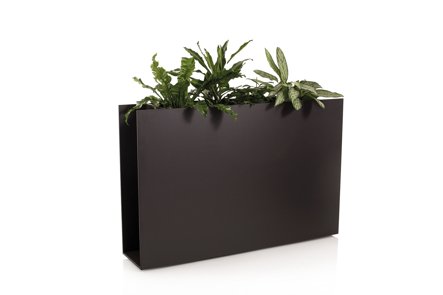 Jardinière Sotomon Conmoto