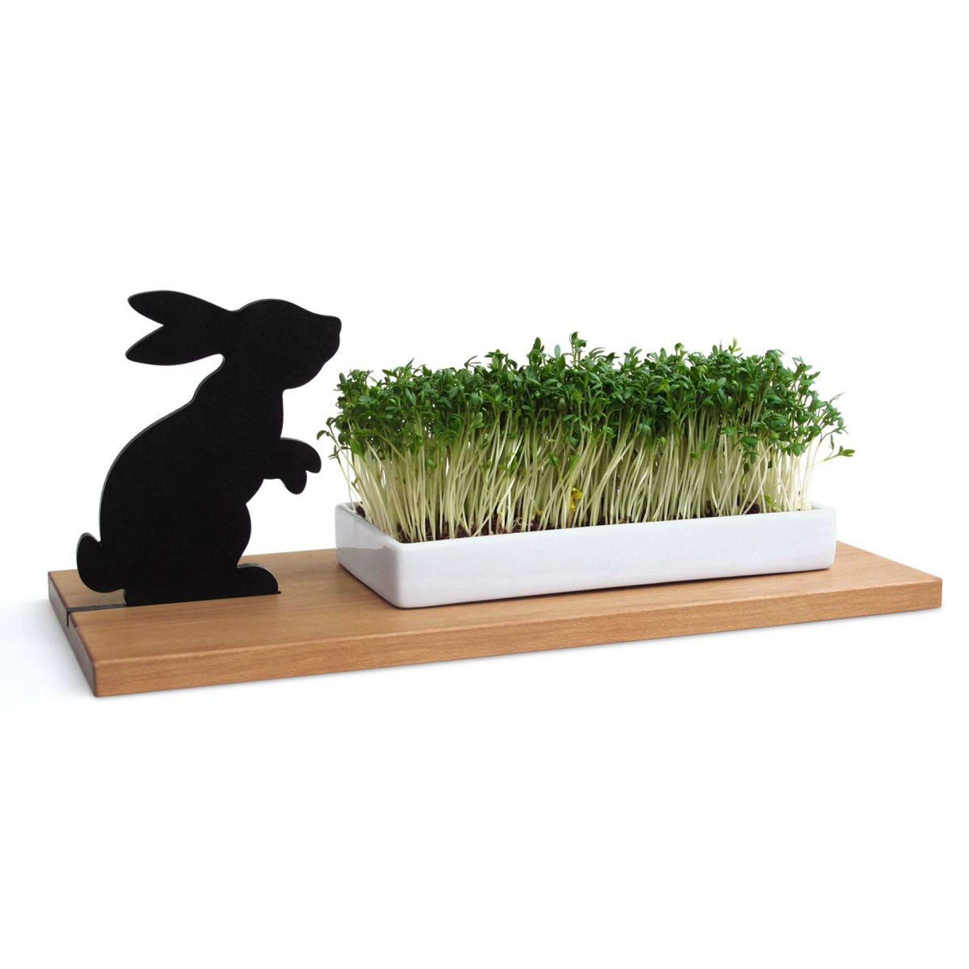 Hase plat cresson Side by Side OFFRE SPECIALE