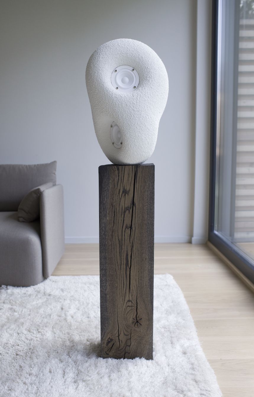 Sculpture acoustique Haut-parleur Transparent
