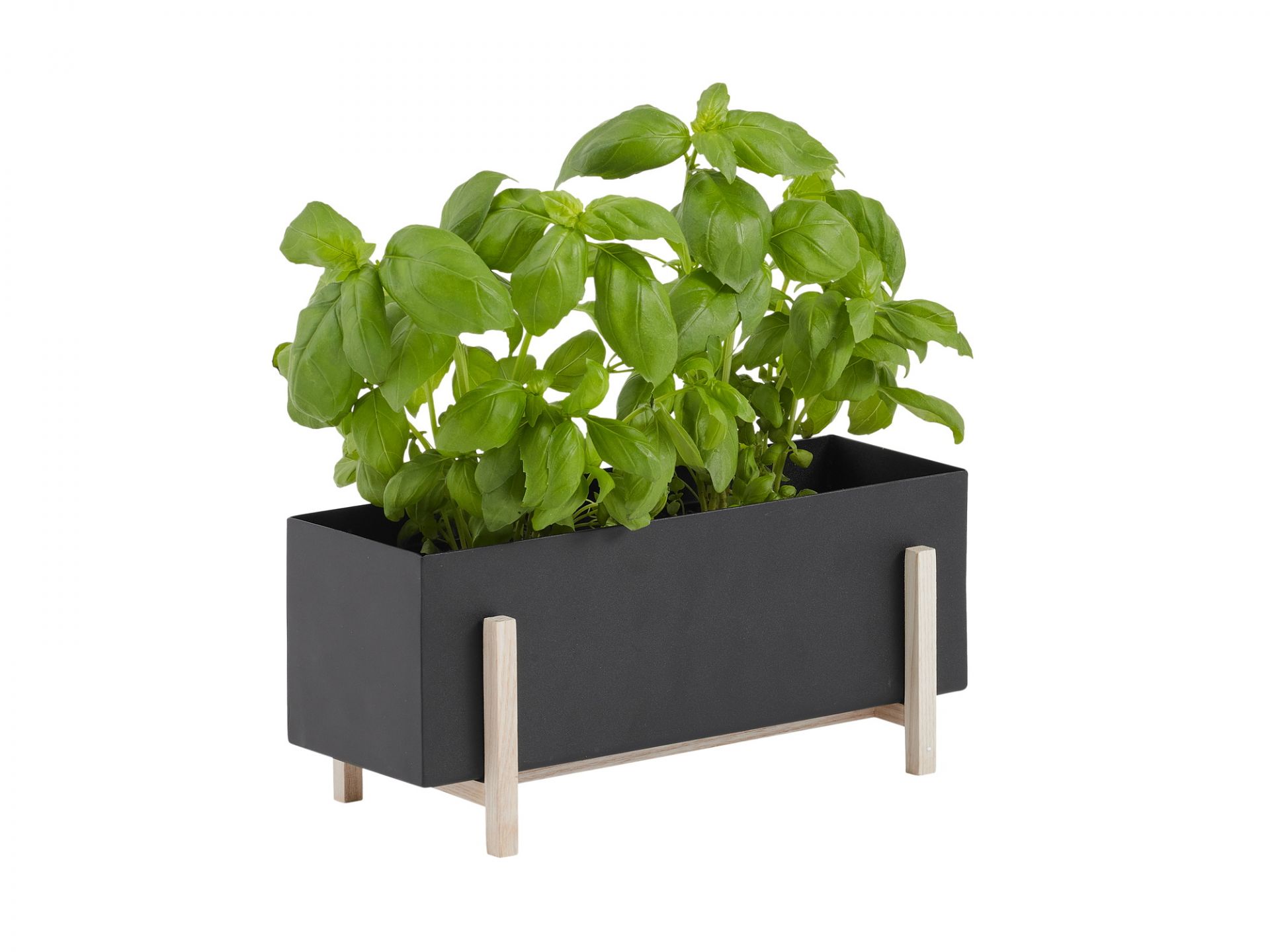 Botanic Boîte à herbes Design House Stockholm OFFRE SPECIALE