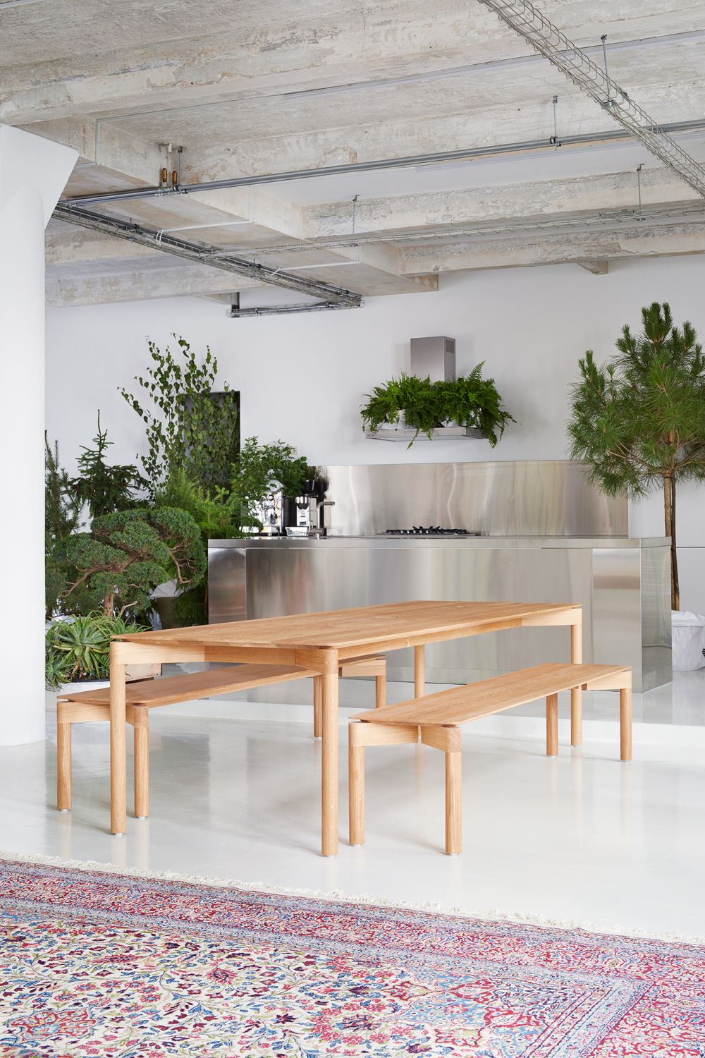 WEDEKIND Chêne de Table Ciré OUT