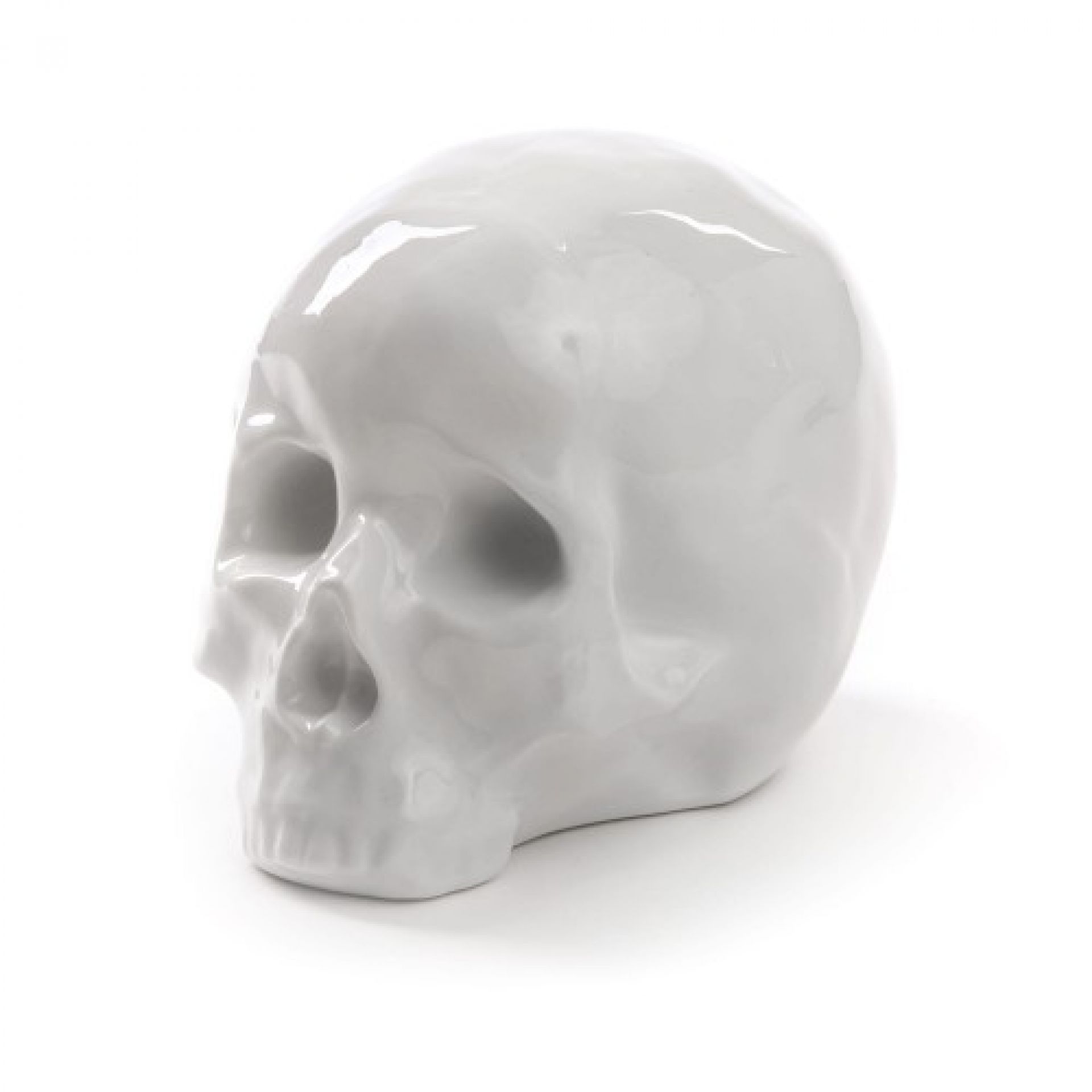 Memorabilia My Skull Sculpture Seletti OFFRE SPECIALE