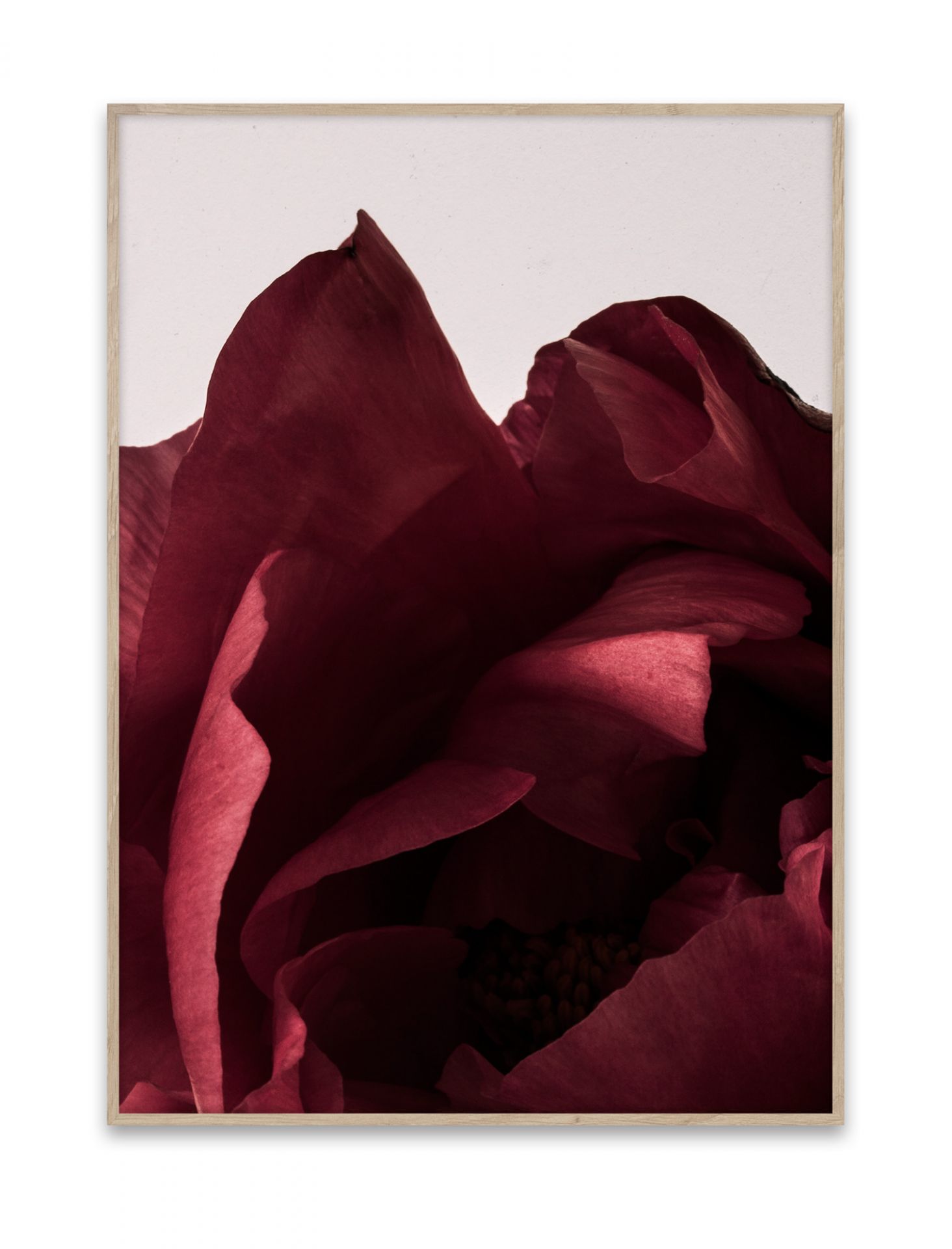 Peonia Poster Paper Collective OFFRE SPECIALE