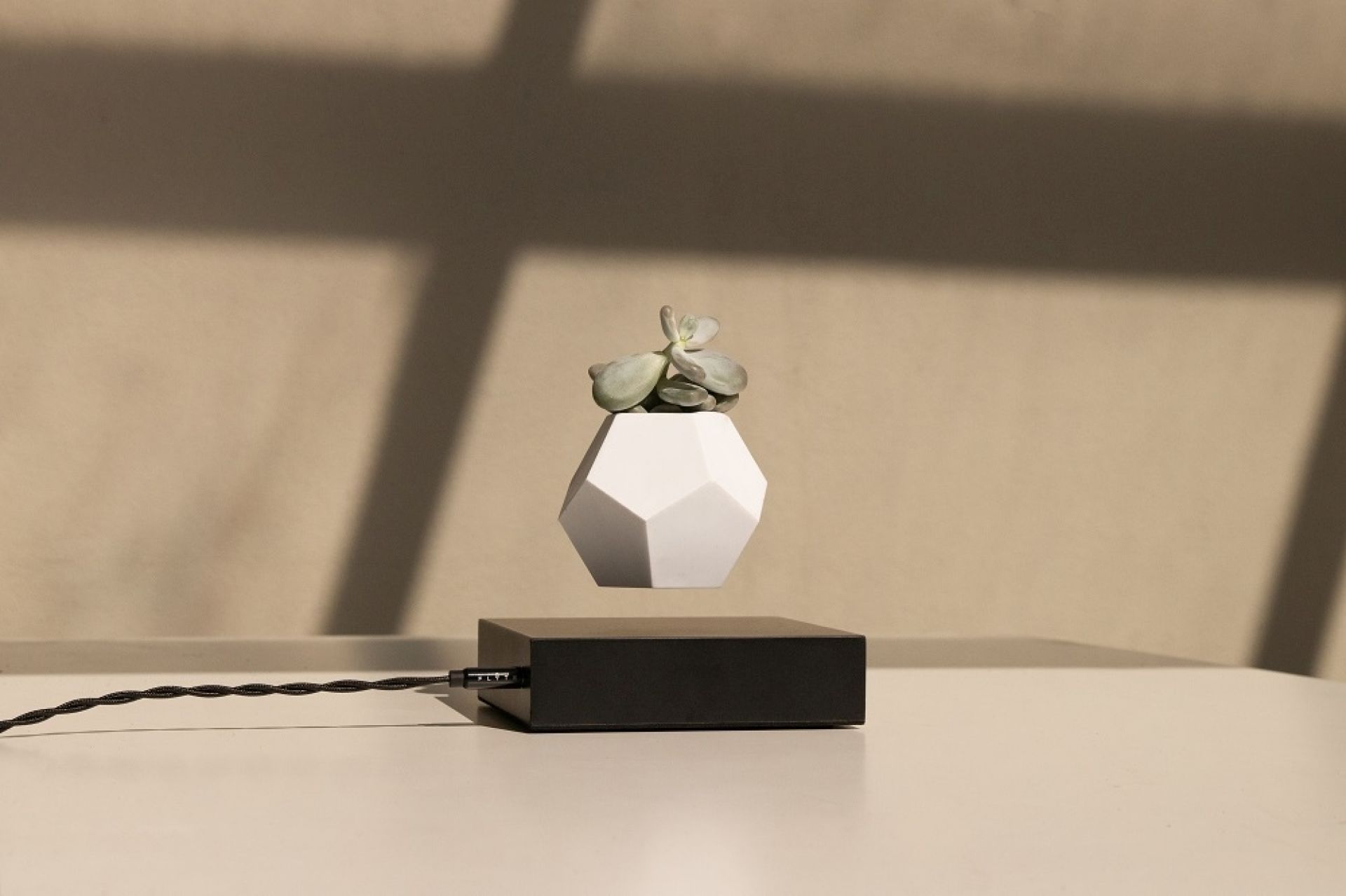 Lyfe flottant Vase Klein & More Bois d'érable Noir OFFRE SPECIALE
