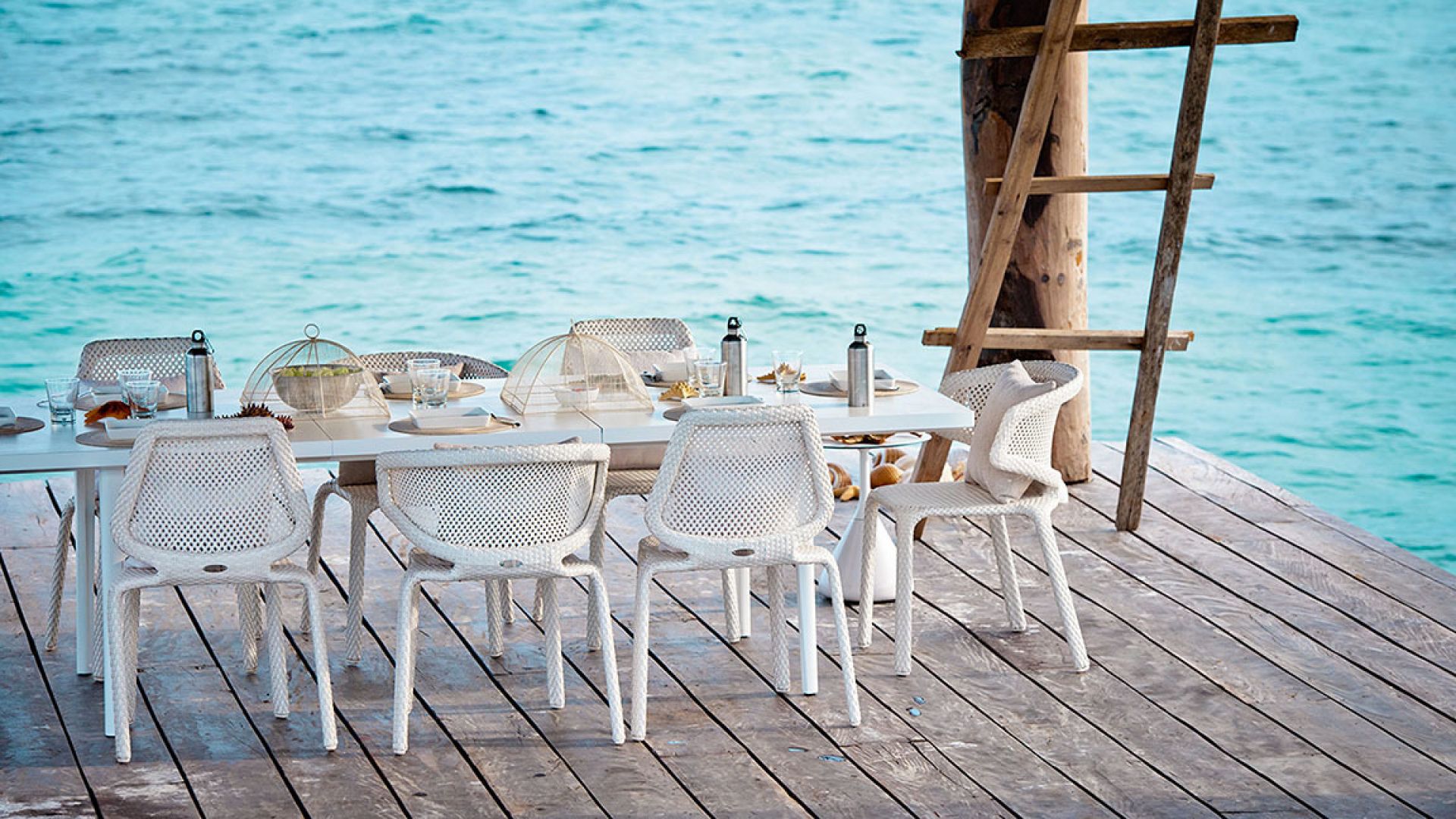 Seashell Armchair Fauteuil chalk Dedon