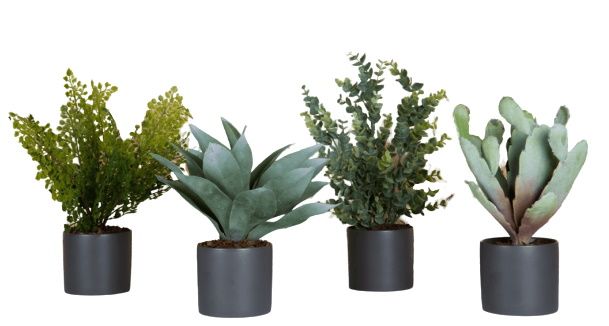 Phoenix Succulente Cylindrical Pots 4-er set Gris (pots de bouteille) Plante artificielle Tanaman   