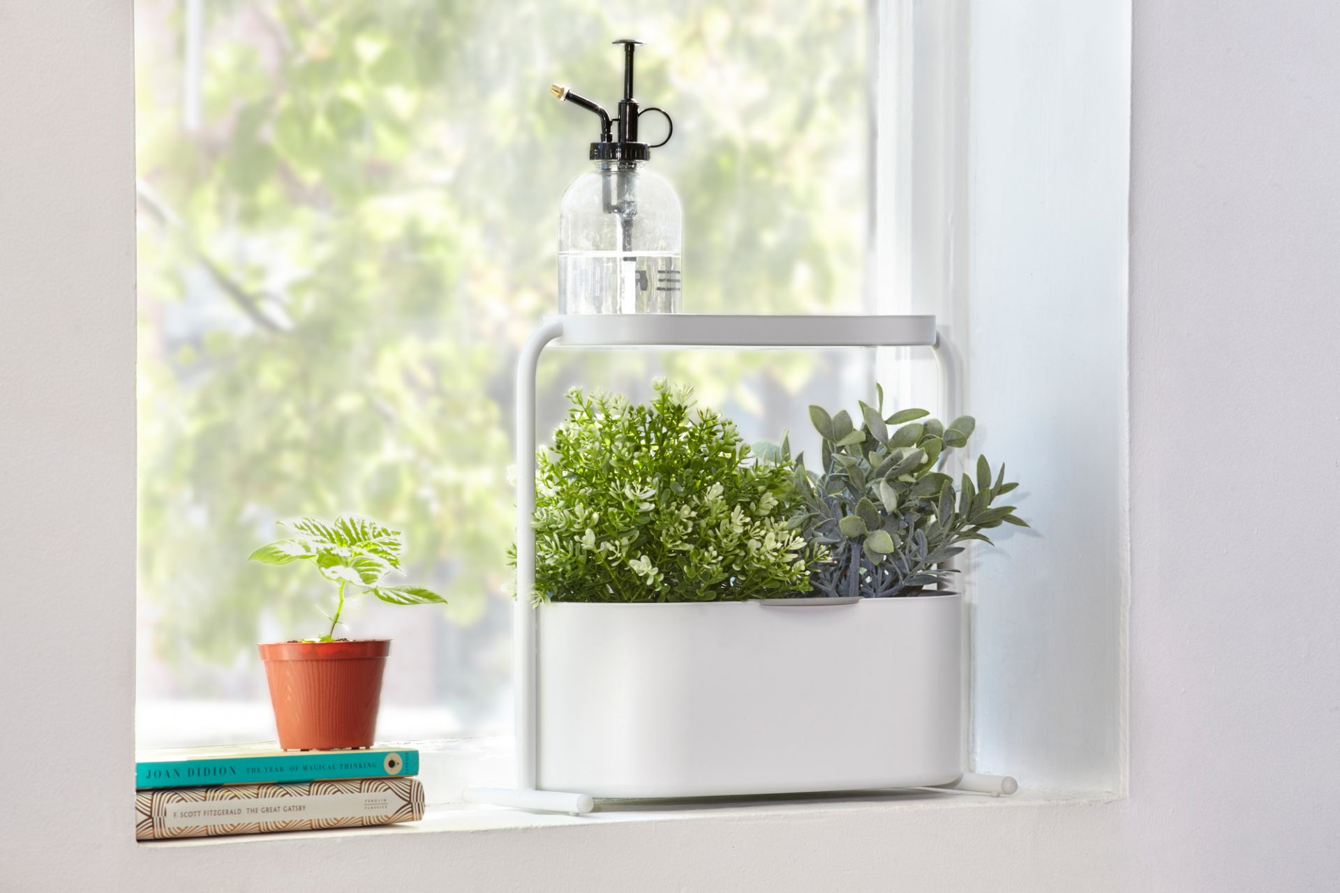Giardino Pot à base de plantes Umbra OFFRE SPECIALE